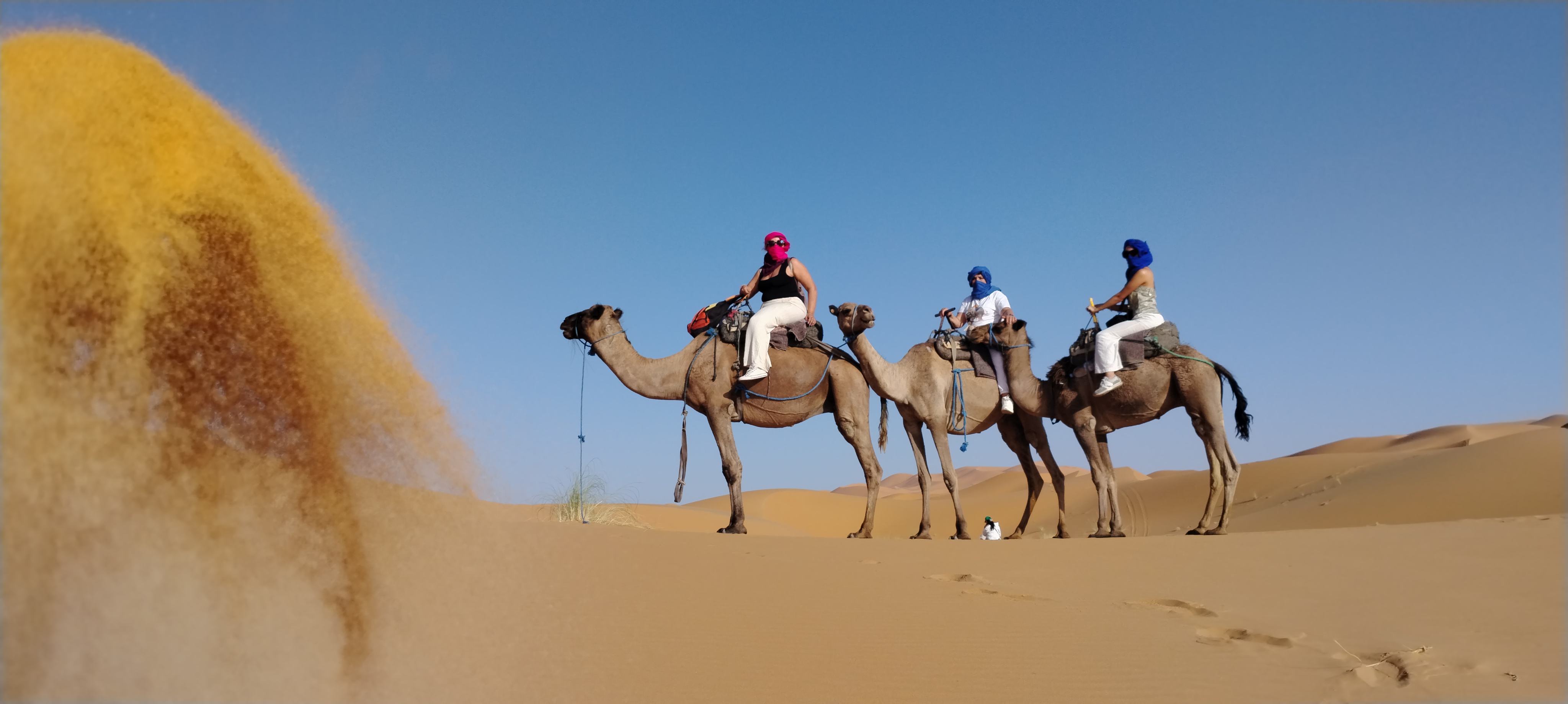 Mujeres en camellos en el Sahara